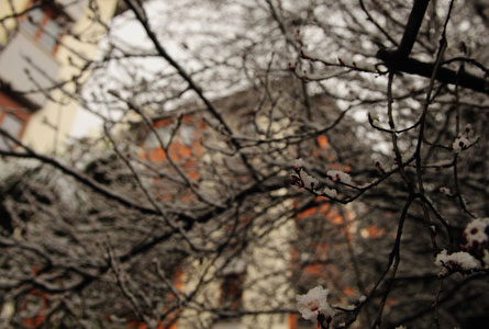 Sitemizden Kareler 32